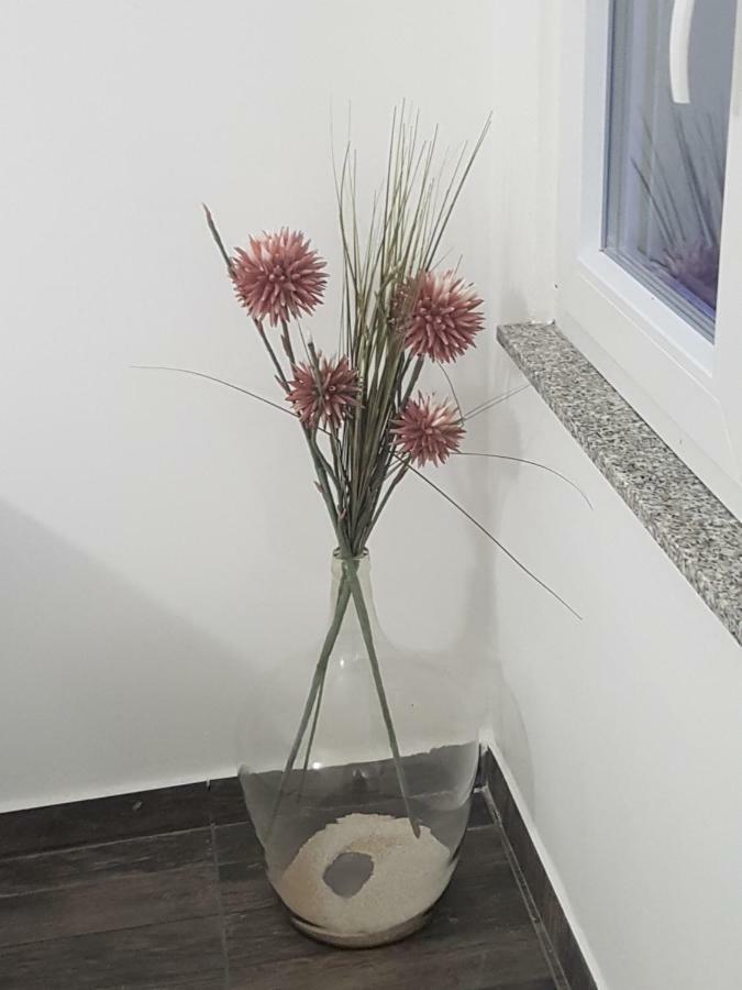 Vila Velvet 호텔 스타리그라드 파클레니차 외부 사진